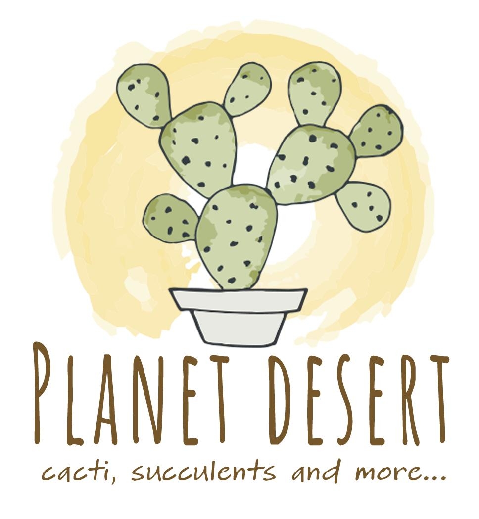 Planet Desert Coupons and Promo Code